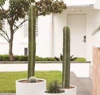 Adina Apartment Hotel Chippendale - St Kilda Accommodation