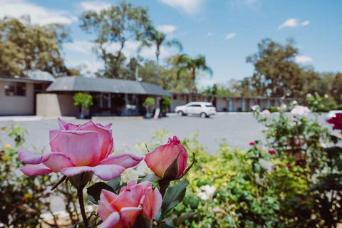 Artesian Spa Motor Inn - St Kilda Accommodation 2
