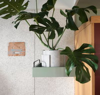 ACE Hotel Sydney - St Kilda Accommodation
