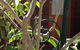 The Cook Cottage - thumb 10
