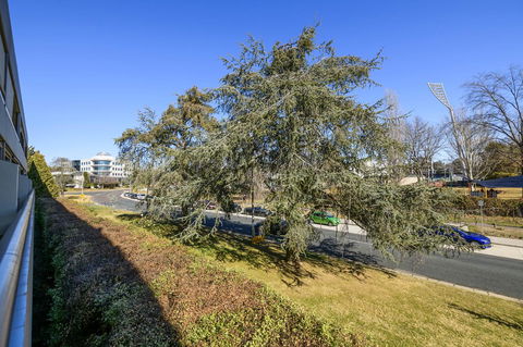 Accommodate Canberra - The Summit - St Kilda Accommodation 5