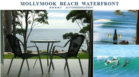Mollymook Beach Waterfront - St Kilda Accommodation 1
