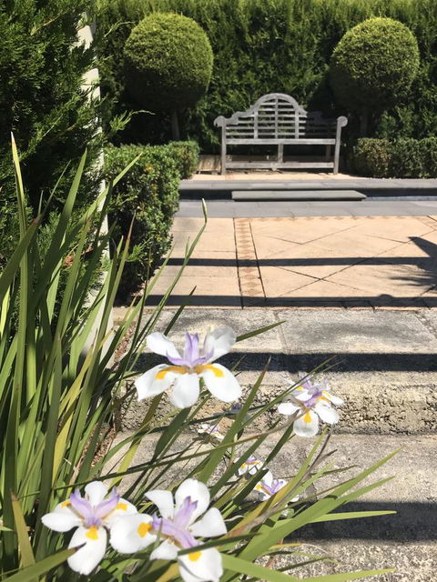 S T U D I O 22 Peaceful Retreat With Garden Views - St Kilda Accommodation 13