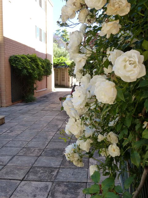 Monaco Court Apartment Adelaide - St Kilda Accommodation 19