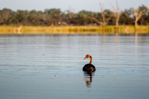 Discovery Parks - Lake Bonney - St Kilda Accommodation 36