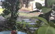 Olive\'s Cottage - thumb 2