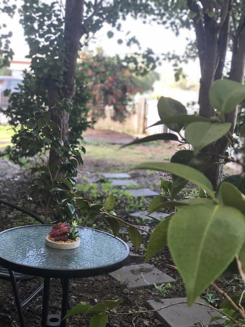 Olive\'s Cottage - St Kilda Accommodation 2