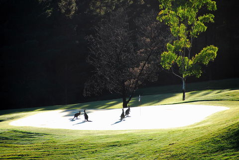 SkyView Villa - St Kilda Accommodation 3