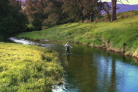 SkyView Villa - St Kilda Accommodation 17