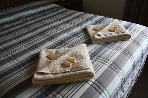Isis Motel Scone - St Kilda Accommodation 3