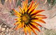 Aussie Opal Diggers Outback Retreat-Undergound - thumb 26