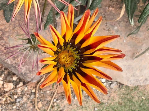 Aussie Opal Diggers Outback Retreat-Undergound - St Kilda Accommodation 26