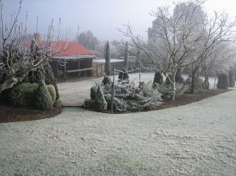 Vineyard Cottage BnB - St Kilda Accommodation 15