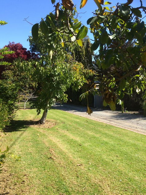Vineyard Cottage BnB - St Kilda Accommodation 17