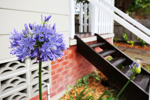 Hudson Bay @ Basin View-Pet Friendly-15 Mins To Hyams Beach - St Kilda Accommodation 38