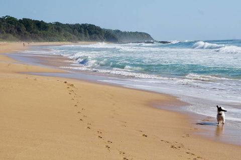 Culburra Beachhouse - St Kilda Accommodation 7
