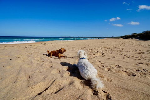 Culburra Beachhouse - St Kilda Accommodation 8
