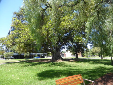 ADELAIDE CENTRAL APARTMENT - 3BR, 2BATH & CARPARK - St Kilda Accommodation 30