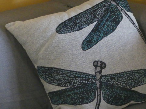 KI Dragonfly Guesthouse - St Kilda Accommodation 43