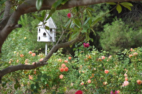 The Lyndoch Motel - St Kilda Accommodation 2