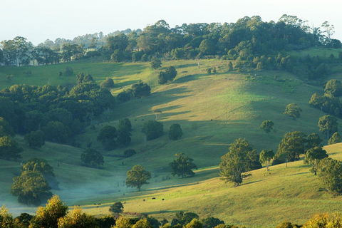 SummerHills Retreat Byron Bay - St Kilda Accommodation 20