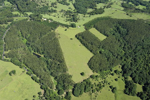 SummerHills Retreat Byron Bay - St Kilda Accommodation 19