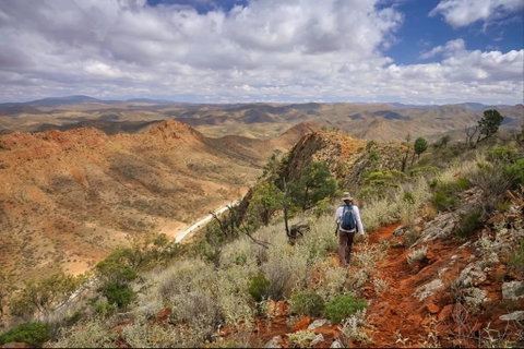 Arkaroola Wilderness Sanctuary - St Kilda Accommodation 4