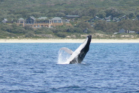 Pullman Bunker Bay Resort Margaret River - St Kilda Accommodation 25