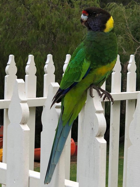 Riverview Tourist Park - St Kilda Accommodation 20