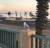 Shark Bay Seafront Apartments - St Kilda Accommodation