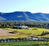 Grapevines Boutique Accommodation - St Kilda Accommodation