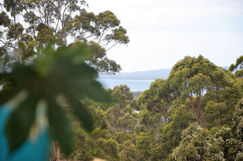 The Floating Forest - St Kilda Accommodation 8