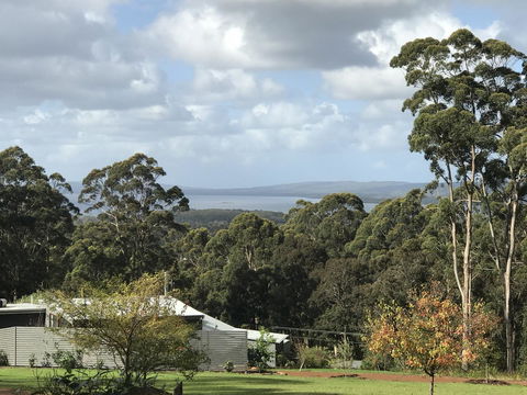 The Floating Forest - St Kilda Accommodation 2