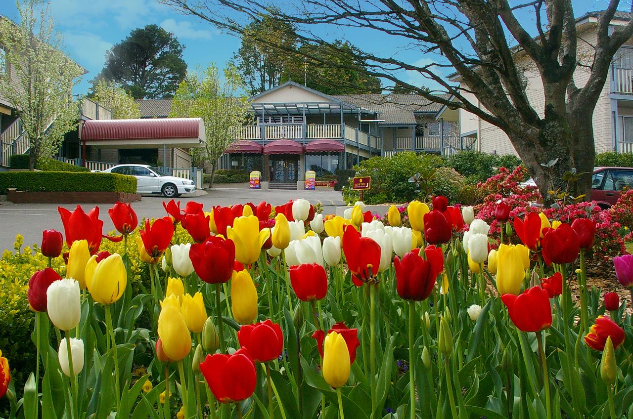 Leura NSW St Kilda Accommodation
