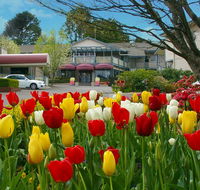 Nesuto Leura Gardens formerly Waldorf Leura Gardens Resort - St Kilda Accommodation