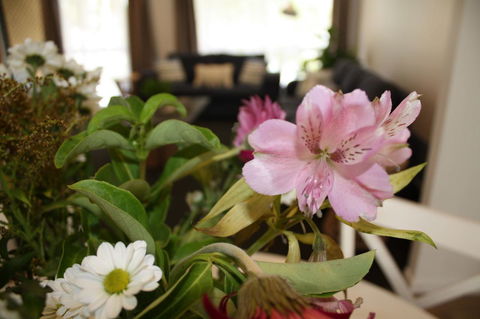 Ocean Breeze At Caba - St Kilda Accommodation 11