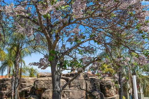 Quality Resort Siesta - St Kilda Accommodation 2