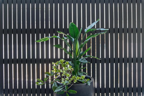 Quality Resort Siesta - St Kilda Accommodation 8