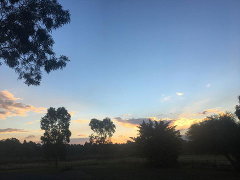 Junee Motor Inn - St Kilda Accommodation 26