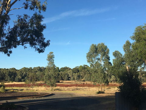 Junee Motor Inn - St Kilda Accommodation 24