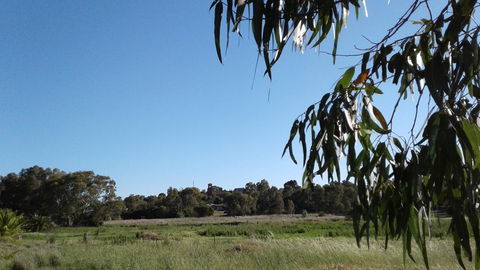 Junee Motor Inn - St Kilda Accommodation 8