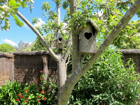 Apple Tree Cottage - St Kilda Accommodation 28