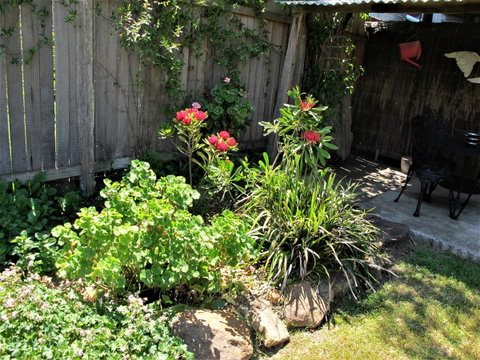 Apple Tree Cottage - St Kilda Accommodation 26