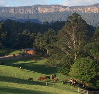 Amaroo Valley Springs - St Kilda Accommodation