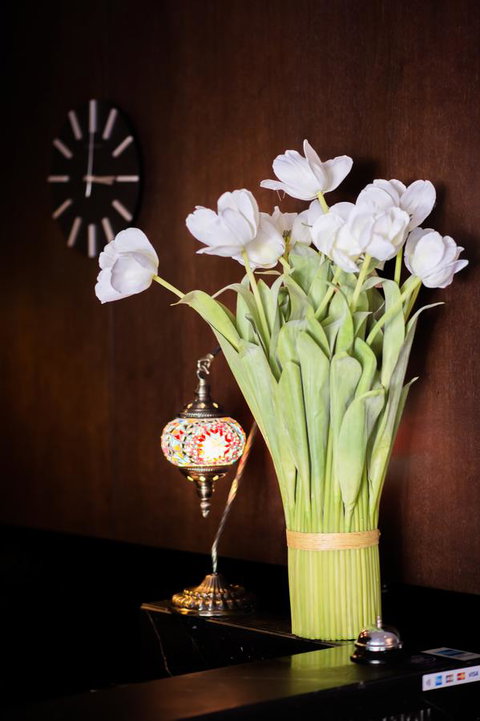 Kirketon Hotel Sydney - St Kilda Accommodation 24