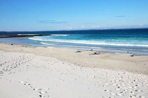 Jervis Bay Beach Shack I Pet Friendly - St Kilda Accommodation 16