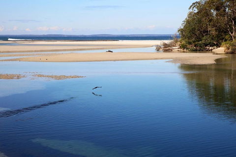 Jervis Bay Beach Shack I Pet Friendly - St Kilda Accommodation 19