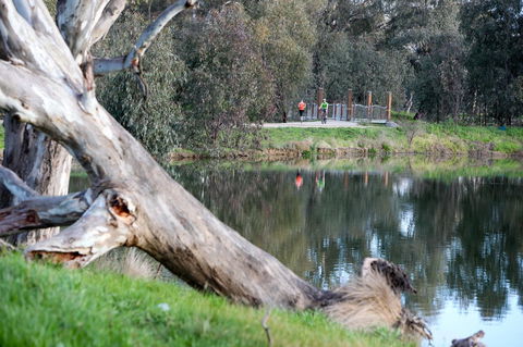 Mercure Albury - St Kilda Accommodation 15