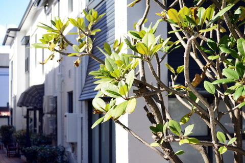 Avoca Randwick By Sydney Lodges - St Kilda Accommodation 34