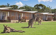 Book Pambula Beach Accommodation Vacations St Kilda Accommodation St Kilda Accommodation
